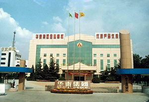 金東山東華泰紙業(yè)集團(tuán)　